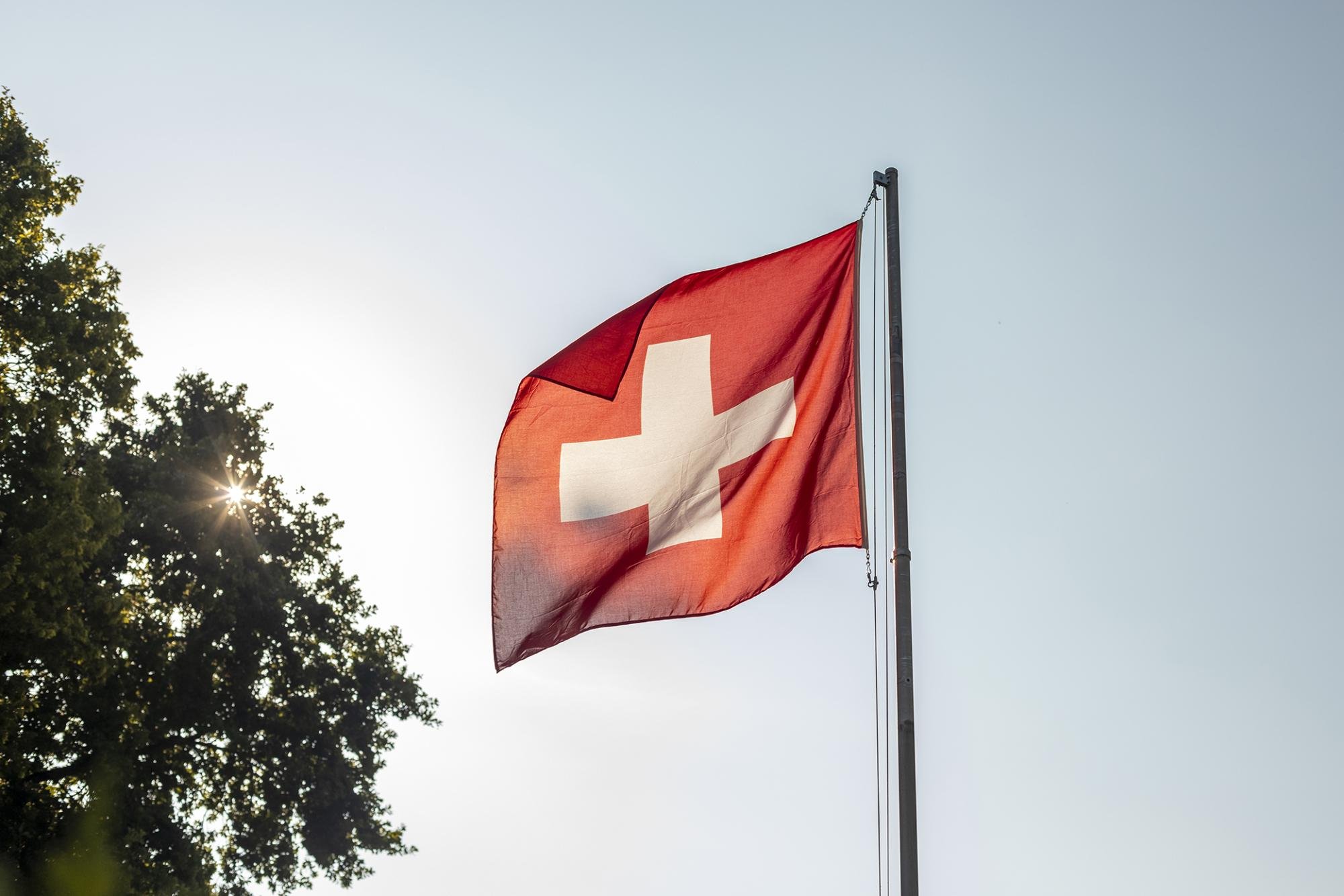 Drapeau suisse-MOUDON