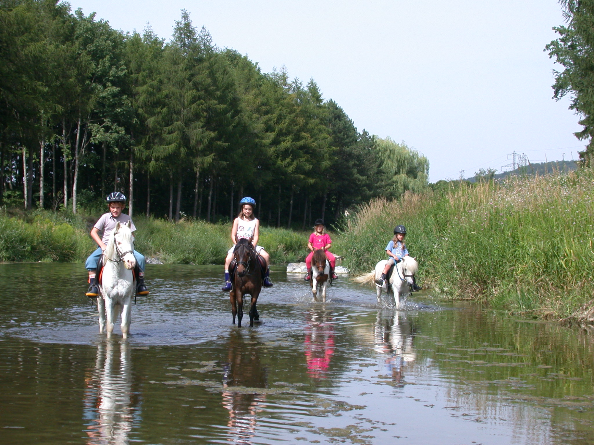 Curtilles_poney-Broye_Commune de Lucens