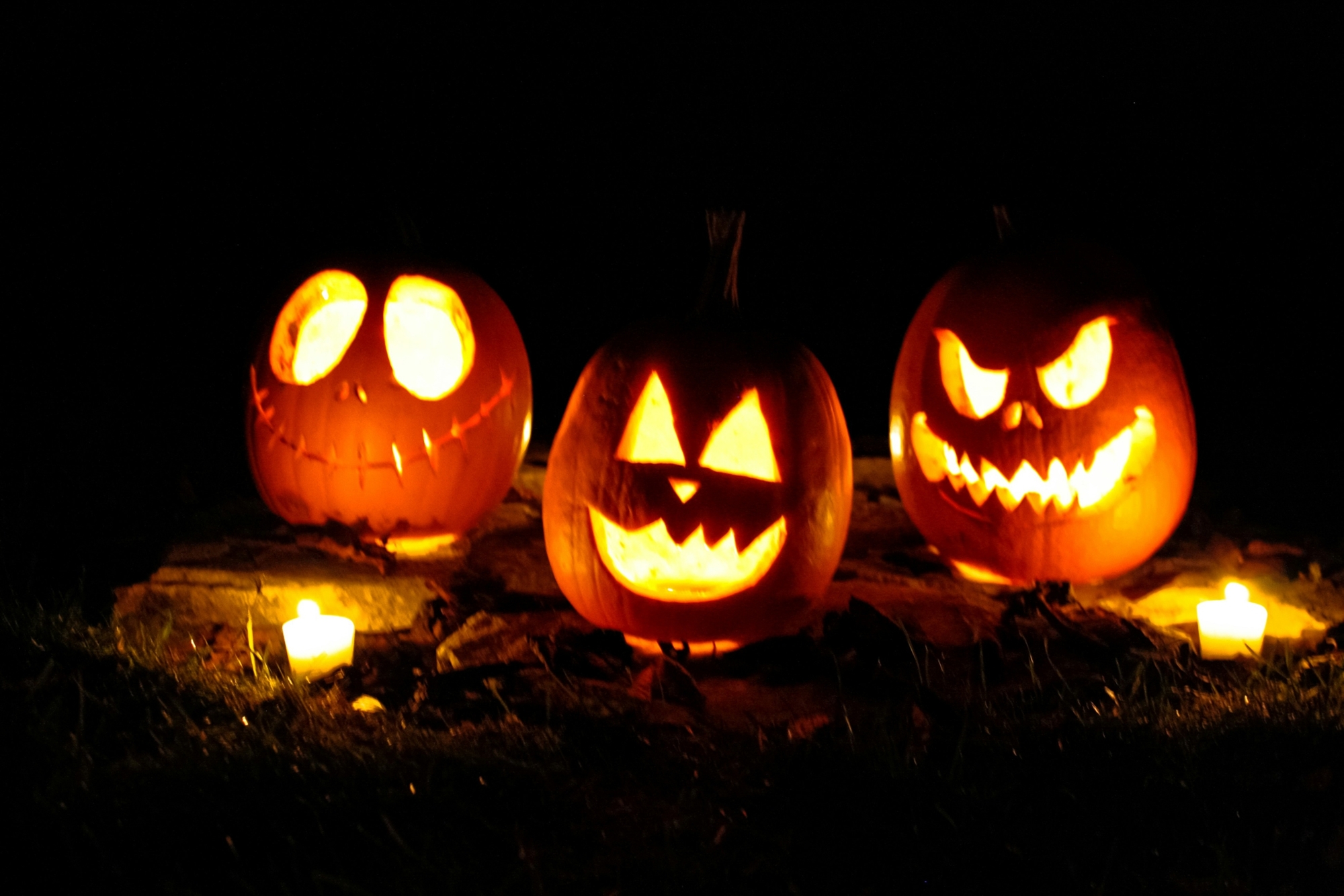 MOOD-Halloween_taylor-foss-eXb3Rt2b07w-unsplash