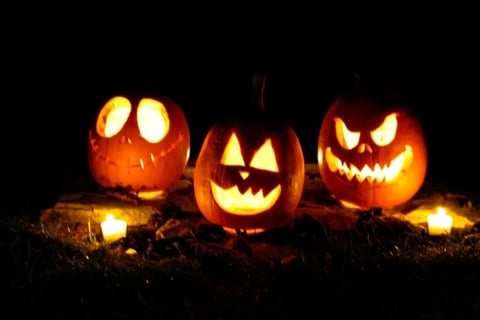 MOOD-Halloween_taylor-foss-eXb3Rt2b07w-unsplash