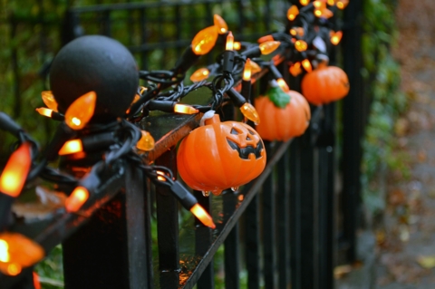 MOOD-Halloween_john-hayler-fo1mhroLydg-unsplash