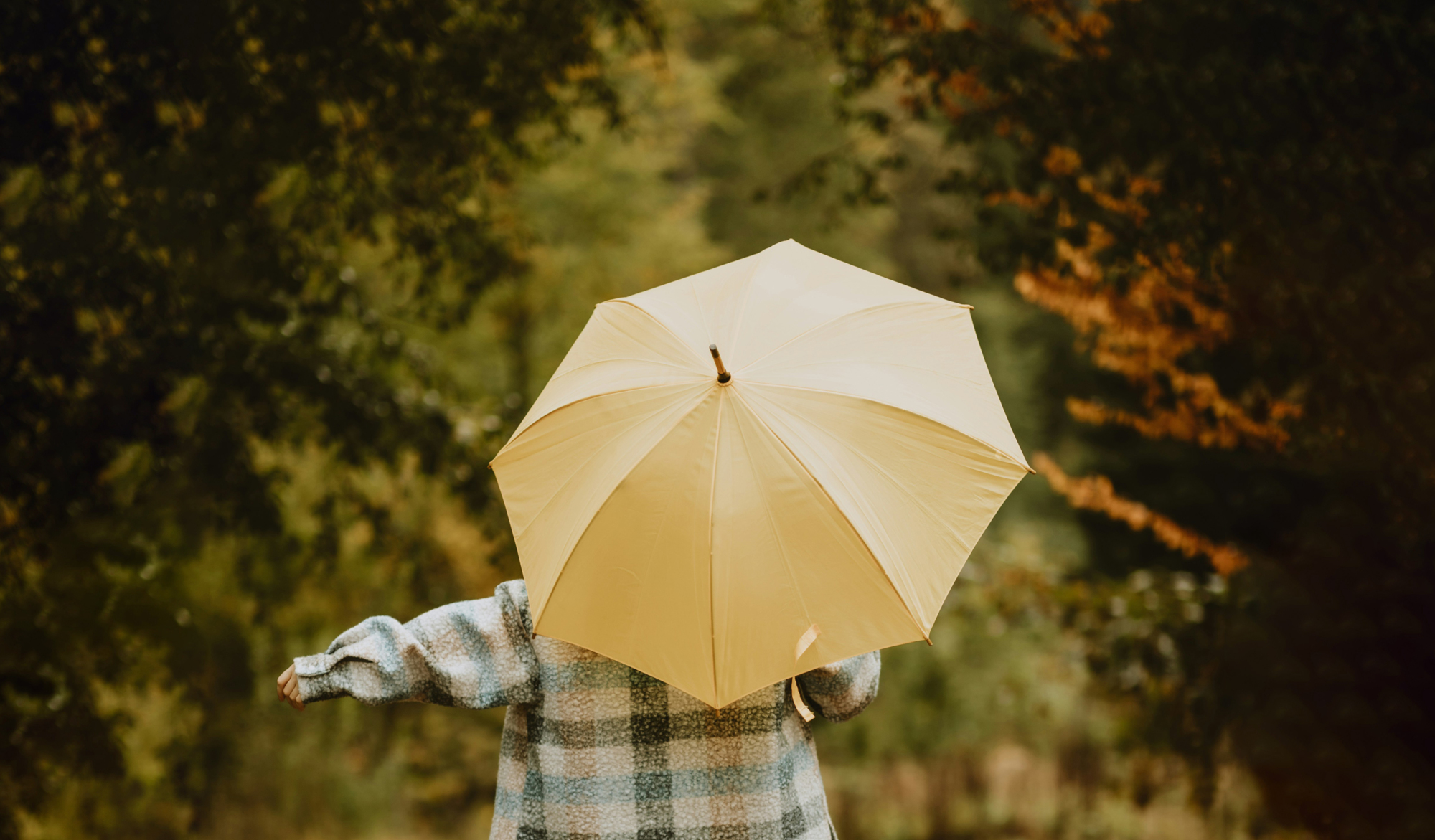 MOOD_automne_pluie