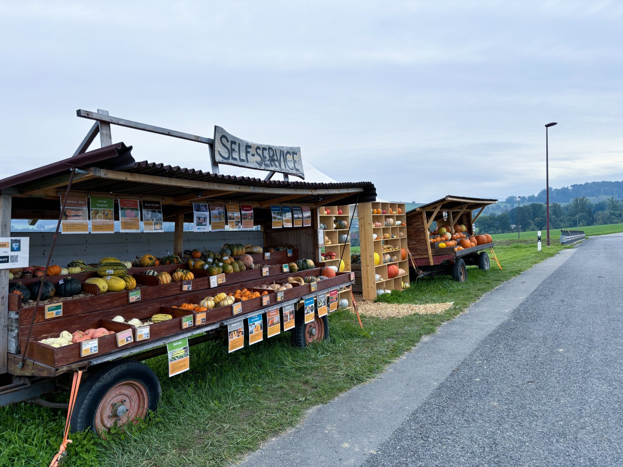 SYENS_char-a-courges_IMG_2643