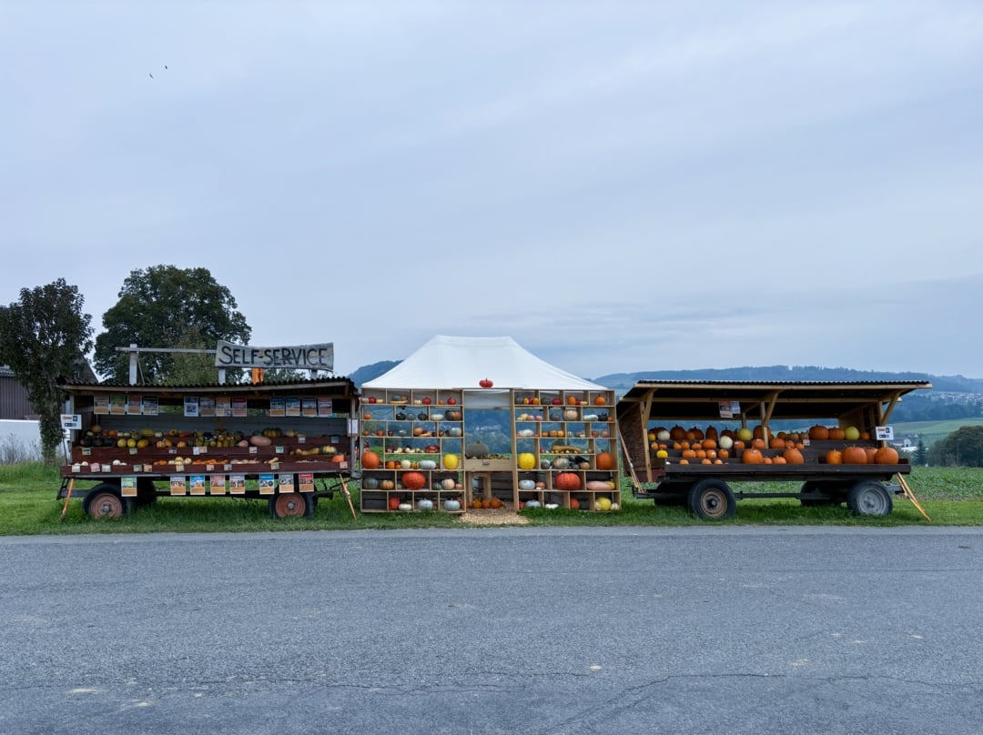 SYENS-char-a-courges_IMG_2636