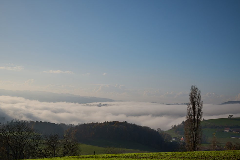 Jour de brouillard-vall&eacute;e de la Broye