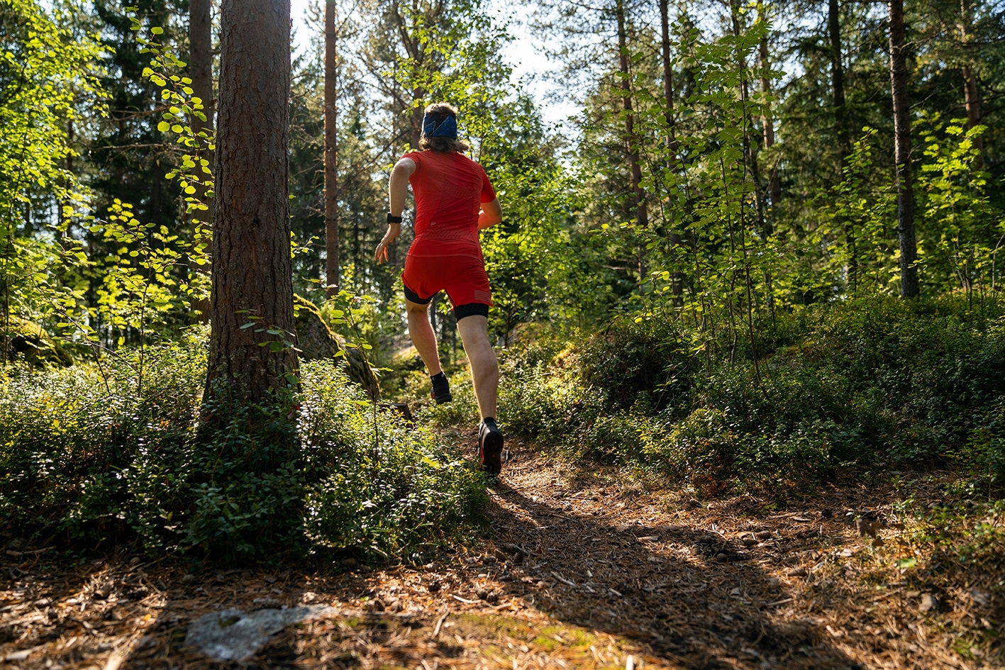 Sport_run-forêt-trail