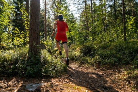 Sport_run-for&ecirc;t-trail