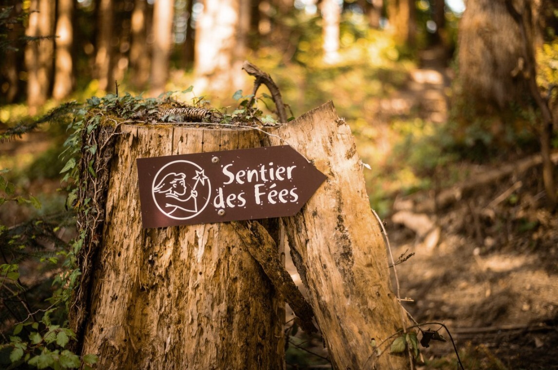 RUE_sentier des fées_c-Sarah Brandini Photographie.jpg