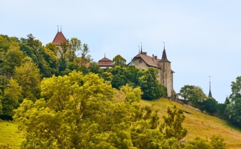 Rue_&eacute;t&eacute;_chateau_2021_c-Meinrad P&eacute;risset.jpg