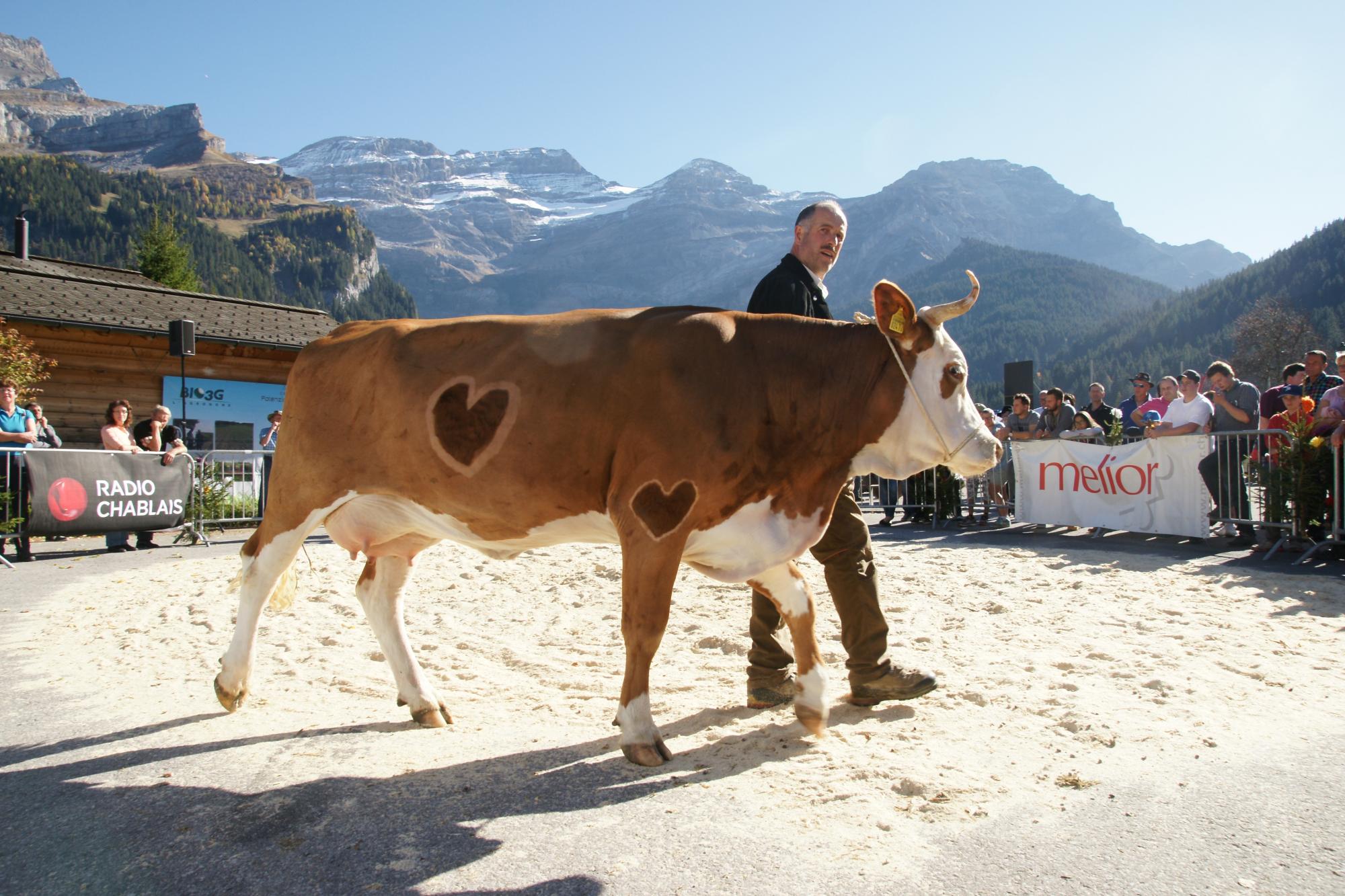 Salon of Alpin Pastures
