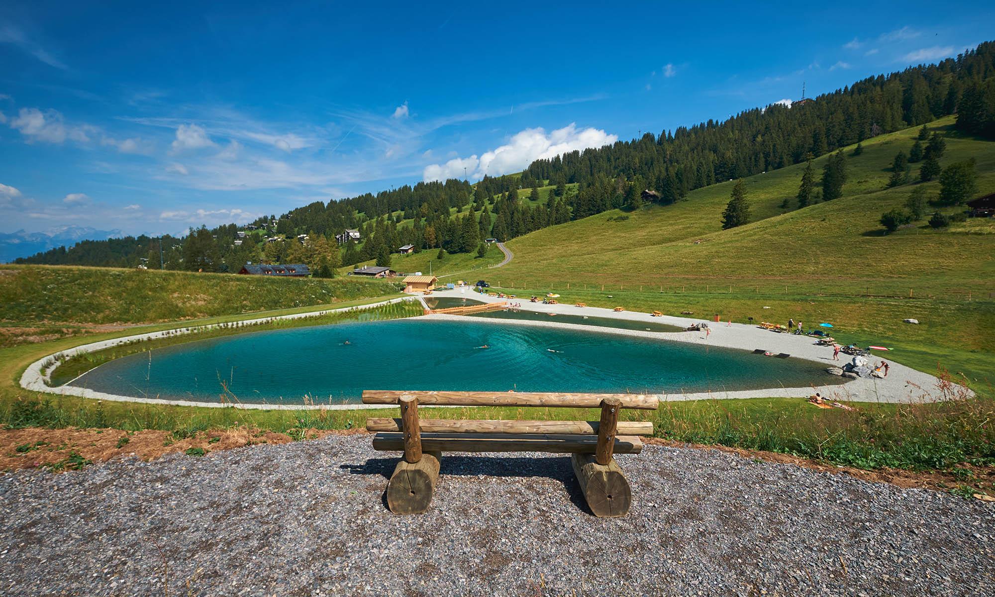 lac de Frience été