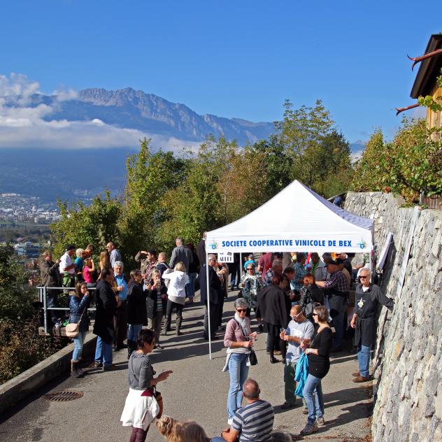Société viticole de Bex