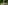Visualps.ch