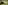 Visualps.ch