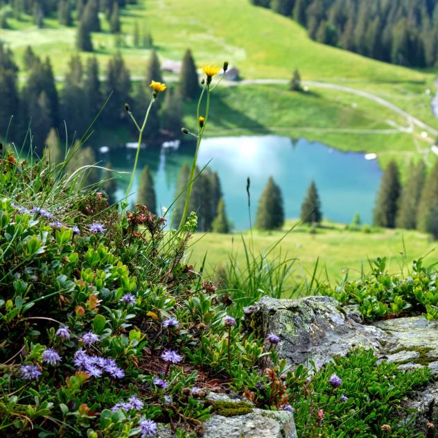 Lac Retaud