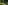 Jardins du Diable Vert