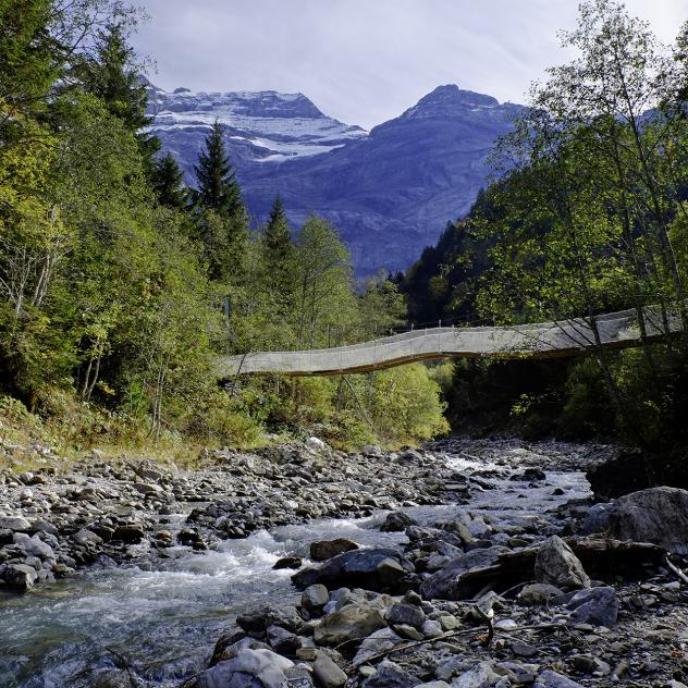 The suspension bridge