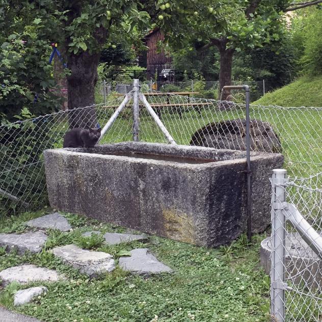 Brunnen der Teinture-Brücke