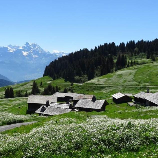 Rochegrises – Verneyre – Ensex – Bretaye – Col de Soud – Rochegrises