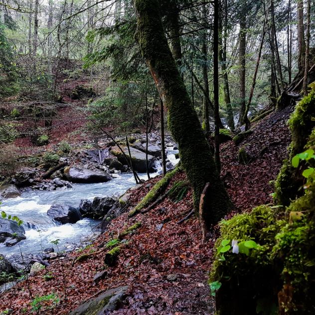 Le Bévieux via Frenières