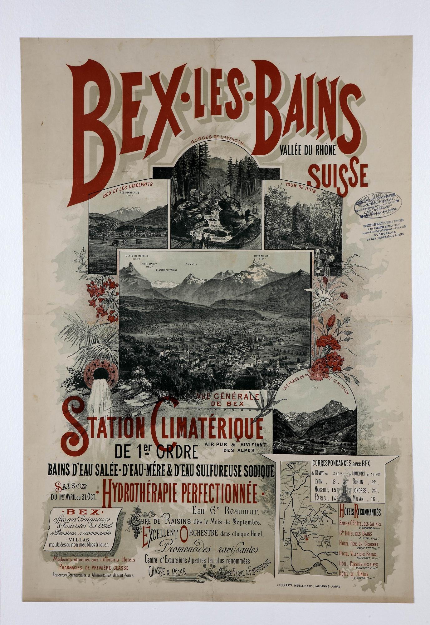 La forêt des Monts-sur-Bex