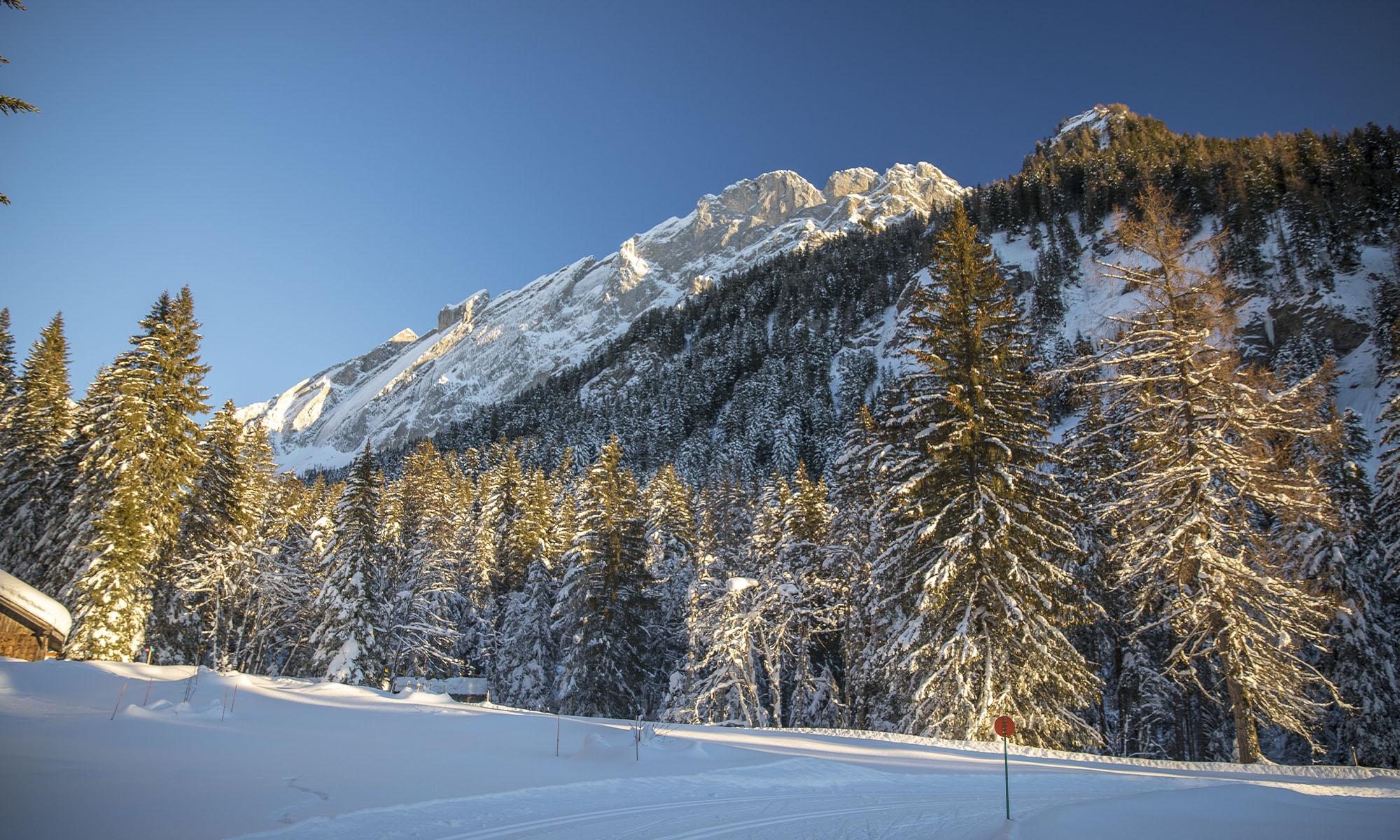 Markierte Strecken und Loipen in Villars-Gryon-Bex - Skilanglauf