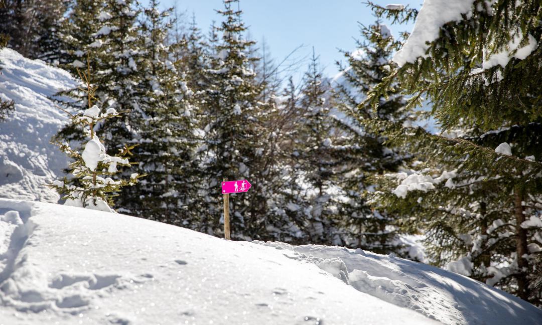 Winter hiking