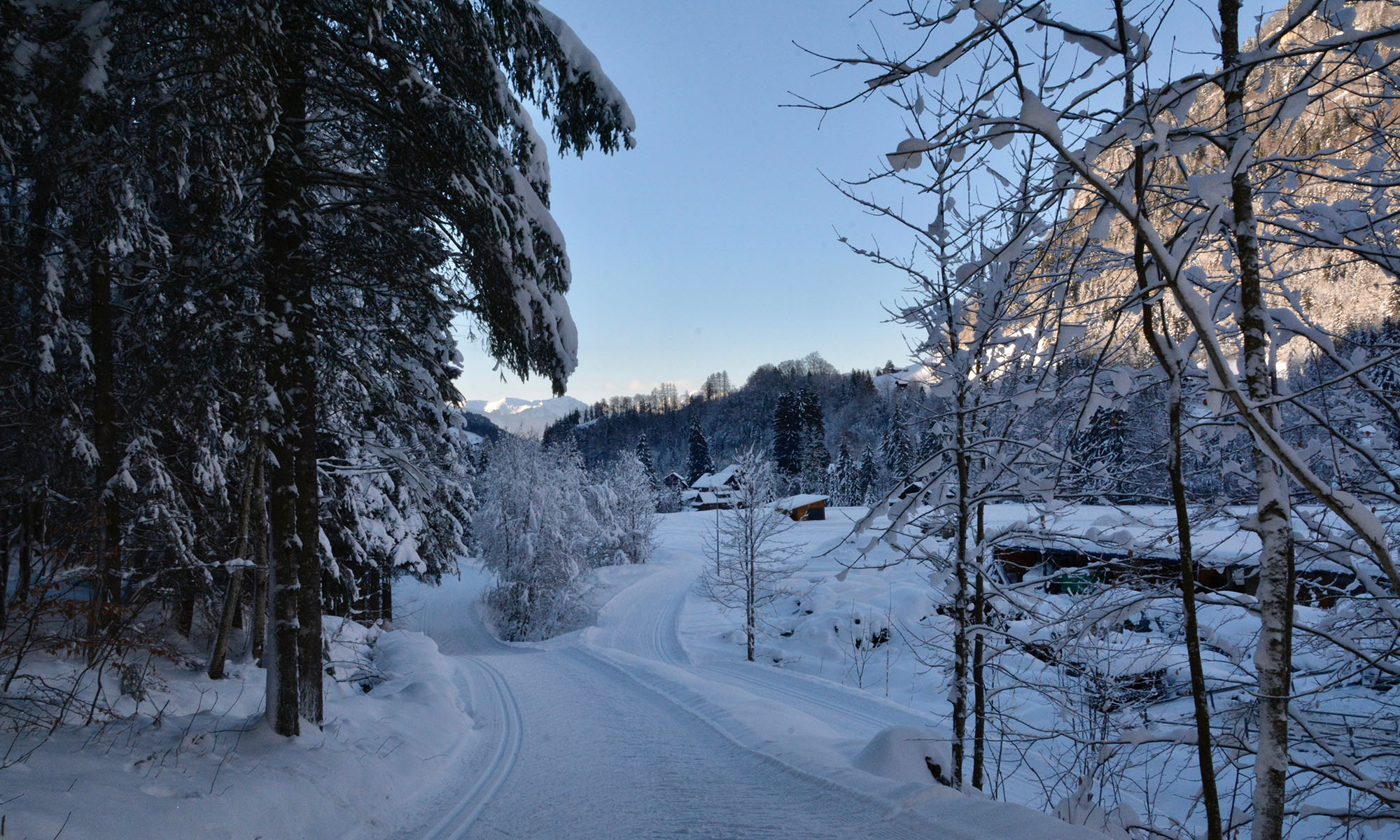 Cross-country skiing in Bex