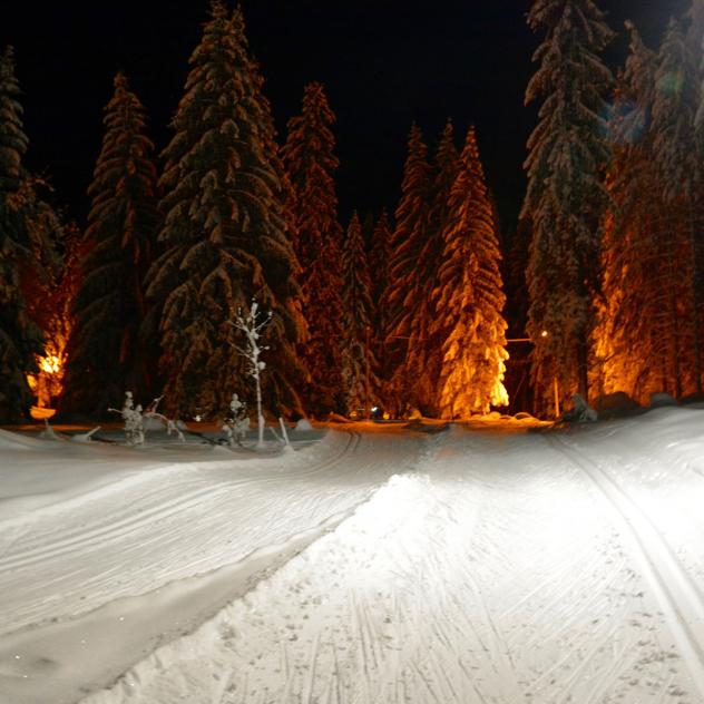 Cross-country ski trail at Les Plans-sur-Bex