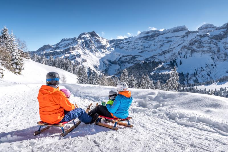 Tobogganers and the landscape - Diablerets