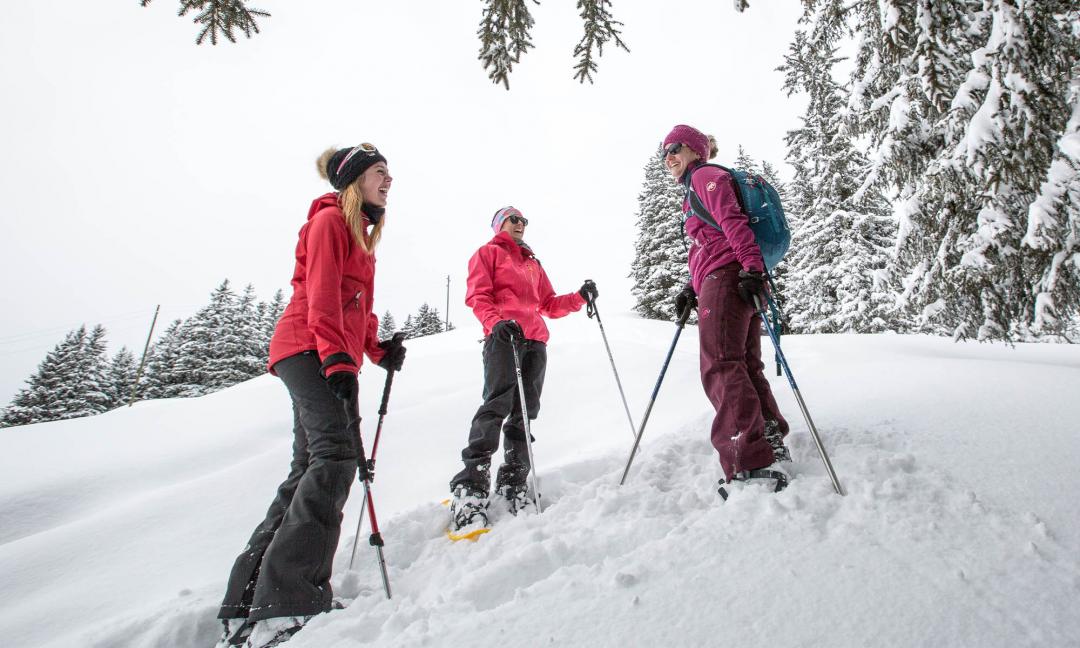 Guided snowshoeing walks