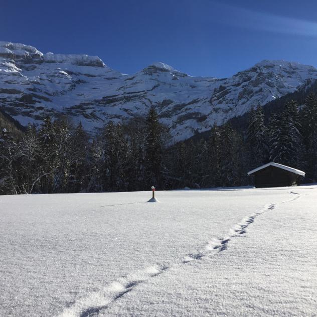 Les Diablerets - La Sciaz - Les Bovets - Les Diablerets