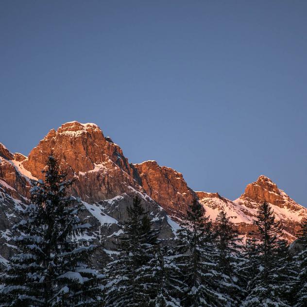 Cergnement - Solalex - Cergnement - Winter hike