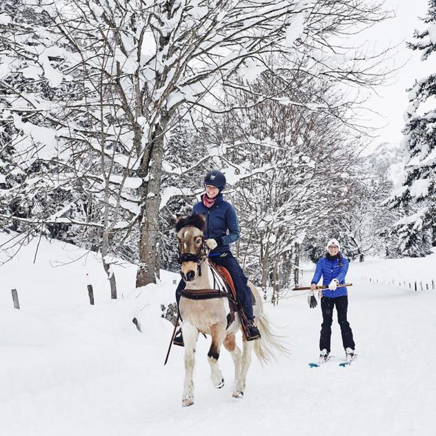 Ski jöring in Gryon