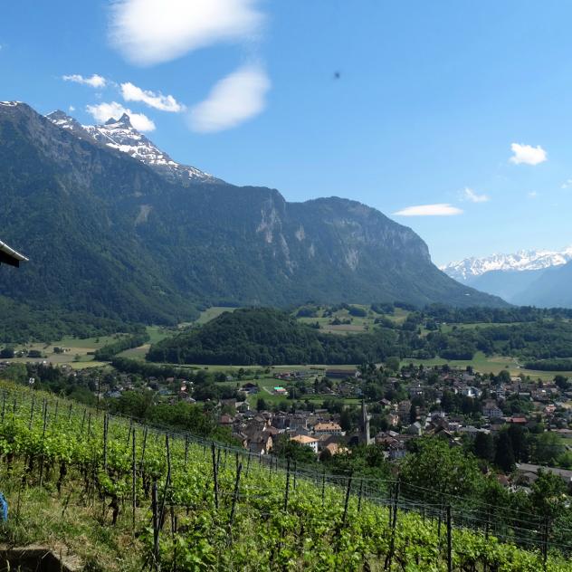 Rapaz Frères, winegrower-winemaker