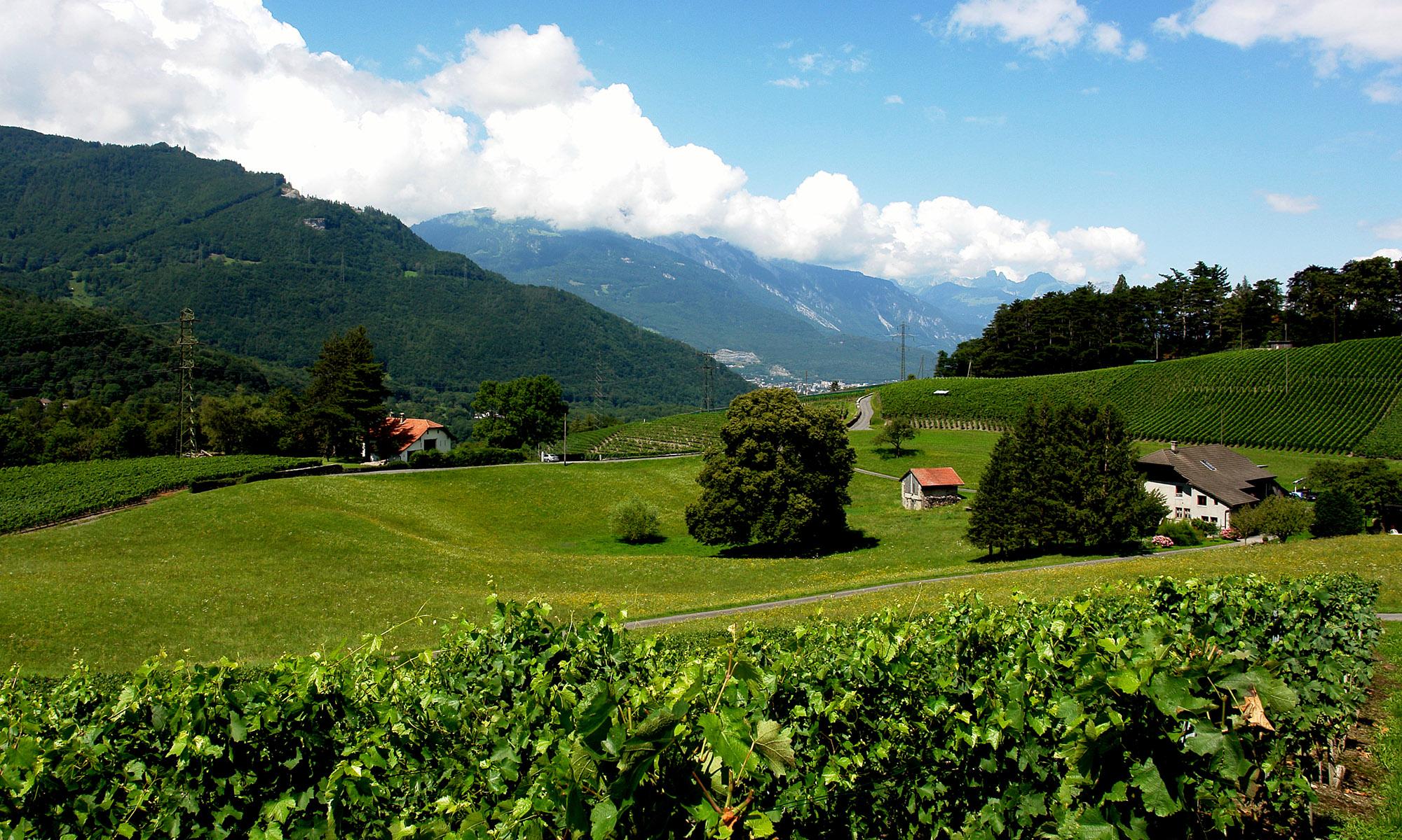 Association Touristique Porte des Alpes members' area in Bex