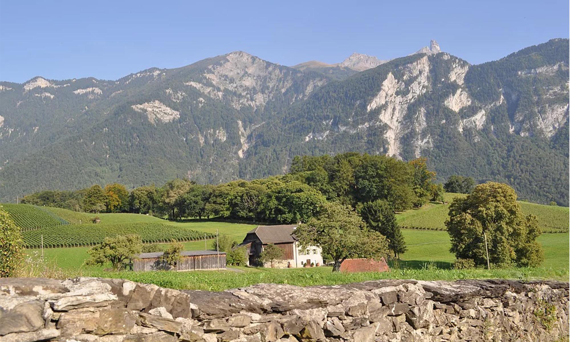Domaine Le Luissalet