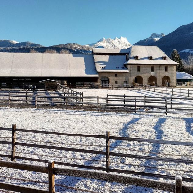 Equestrian Center Domaine du Rhône