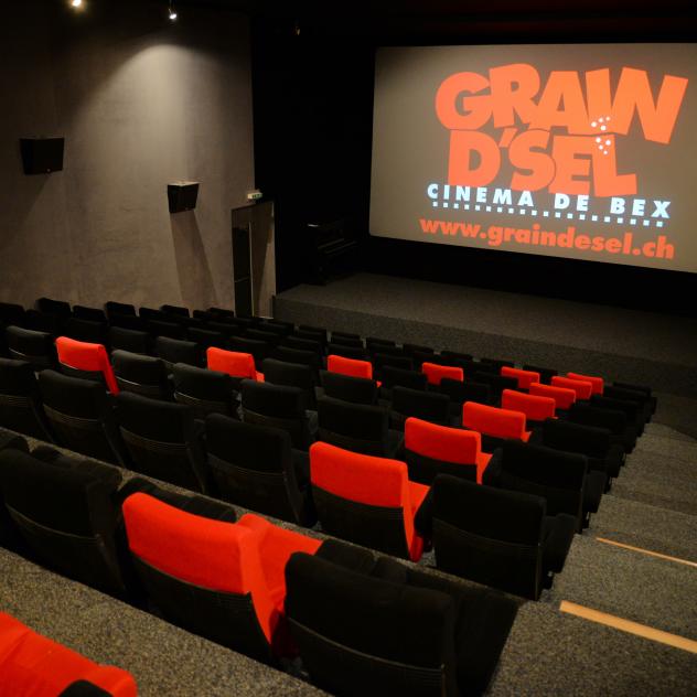 Grain d'Sel cinema