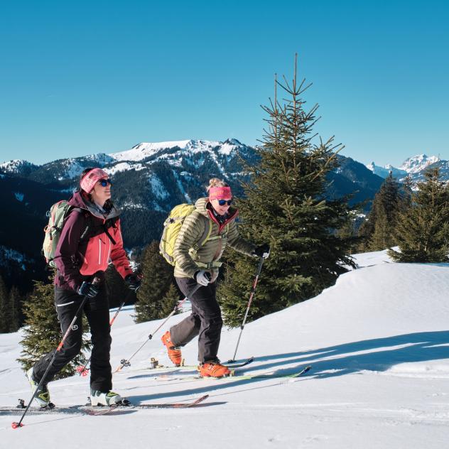 Guided ski touring day with Pure Trace