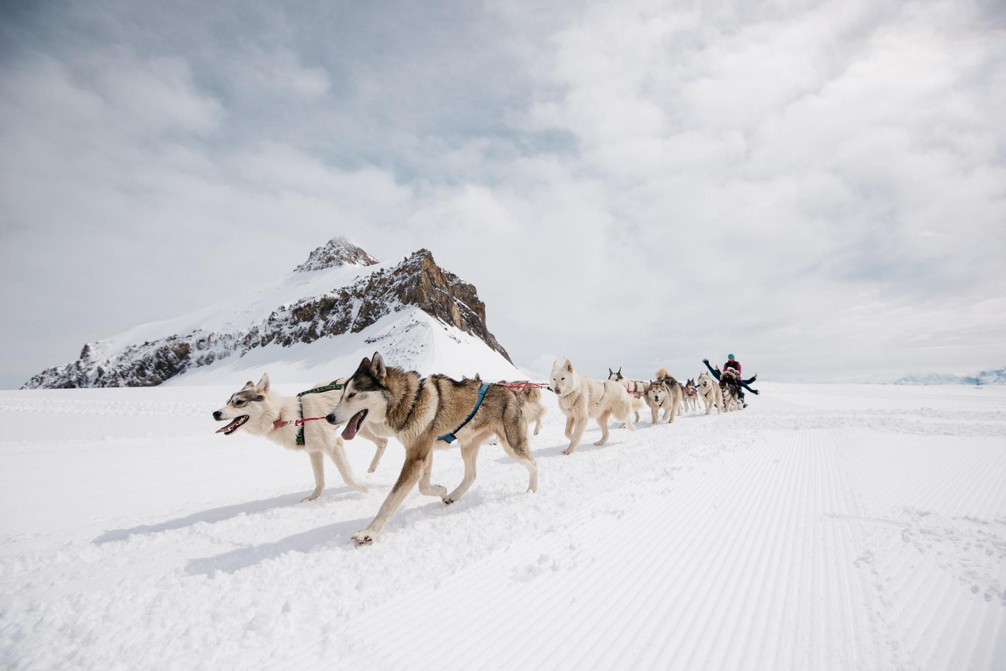 Buchbare Angebote in Les Diablerets