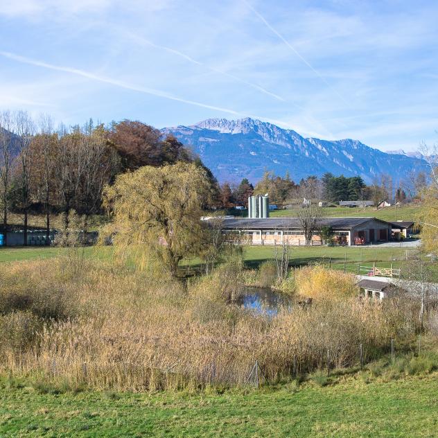Lake Luissel