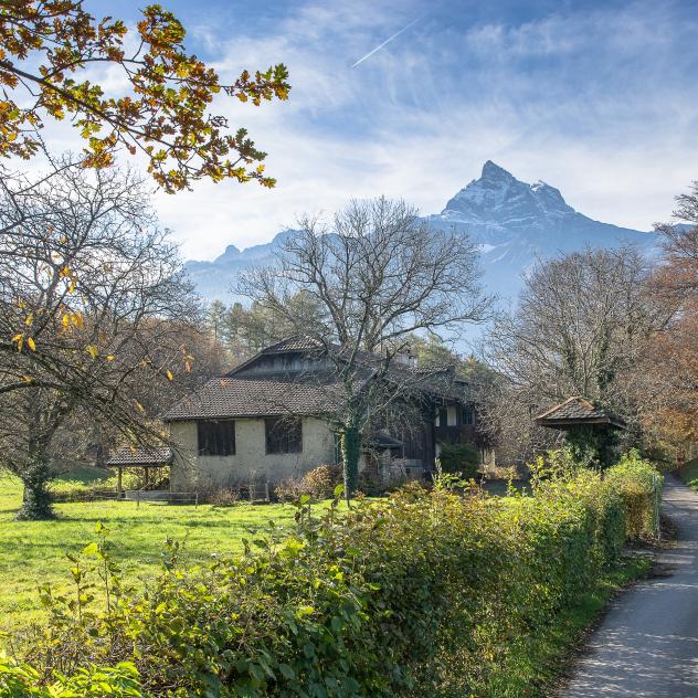 The Domaine des Besses