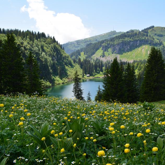 From Bretaye to the Lac des Chavonnes via Vy Boveyre and Conche