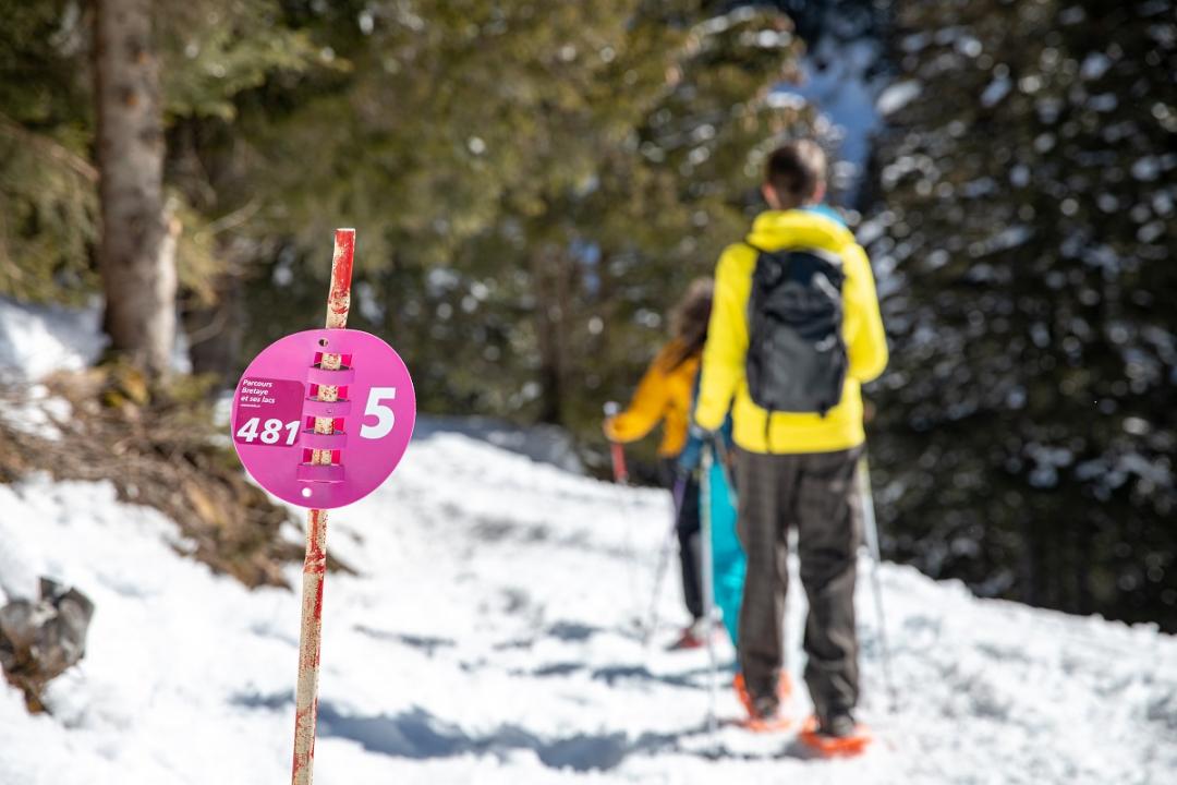 Snowshoeing