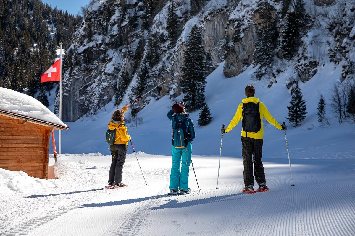 Raquette - groupe - hiver - Bretaye - Olivier Fatzer