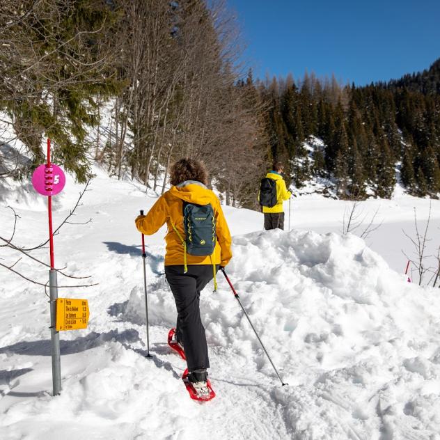 Sea to sea with snowshoes