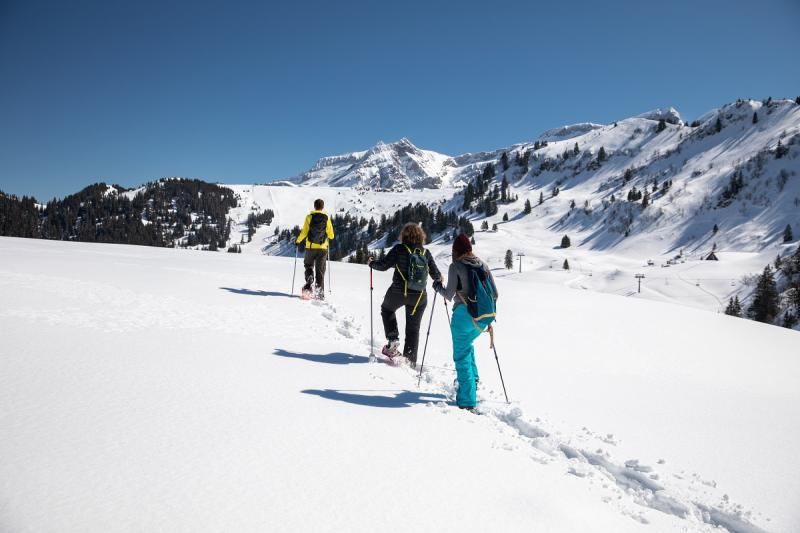 Raquette - groupe - hiver - Bretaye - Olivier Fatzer