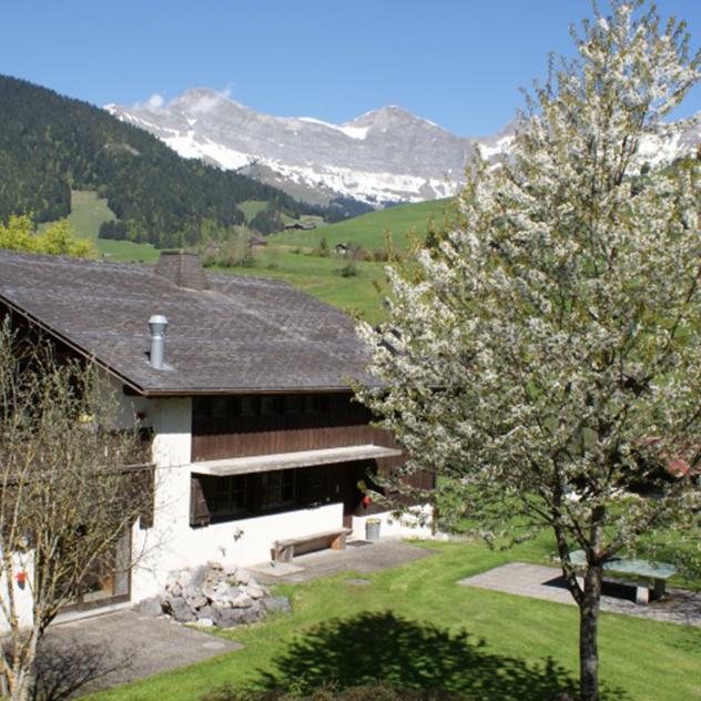 Chalet "Le Clos des Pierres
