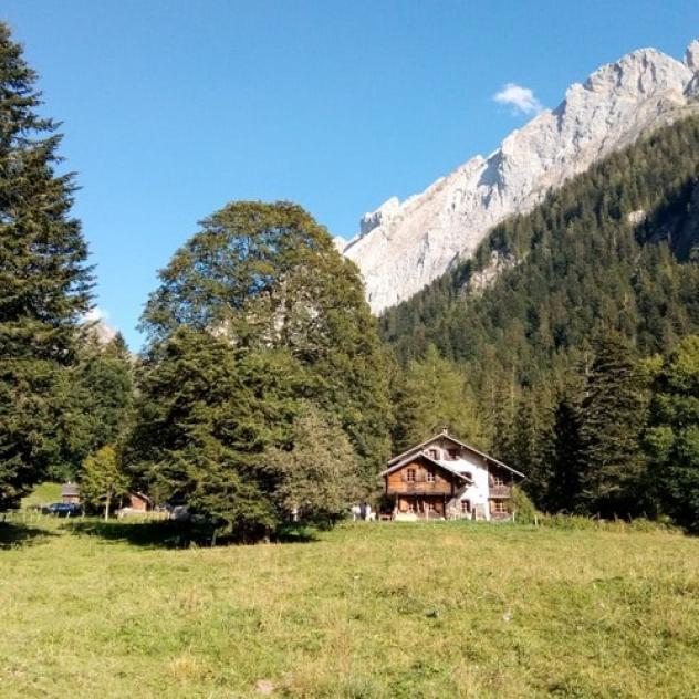 Fête de la Nature à Cergnement